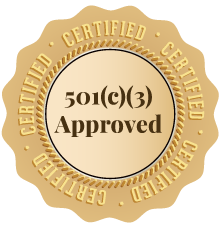 501 c 3 approved