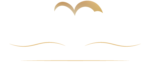 the caregier playbook
